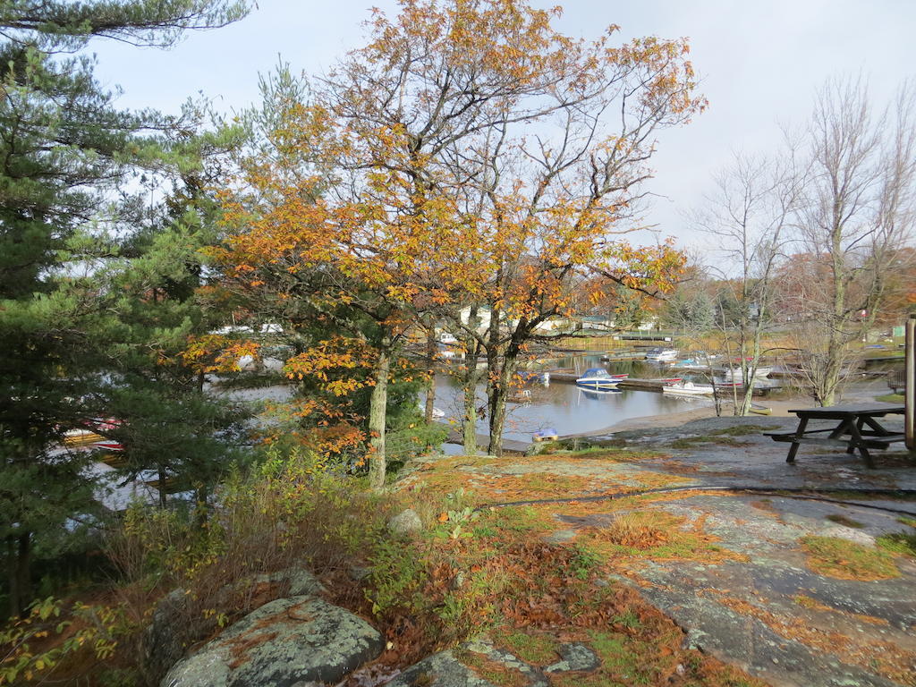 Halls Cottages Honey Harbor Exteriör bild