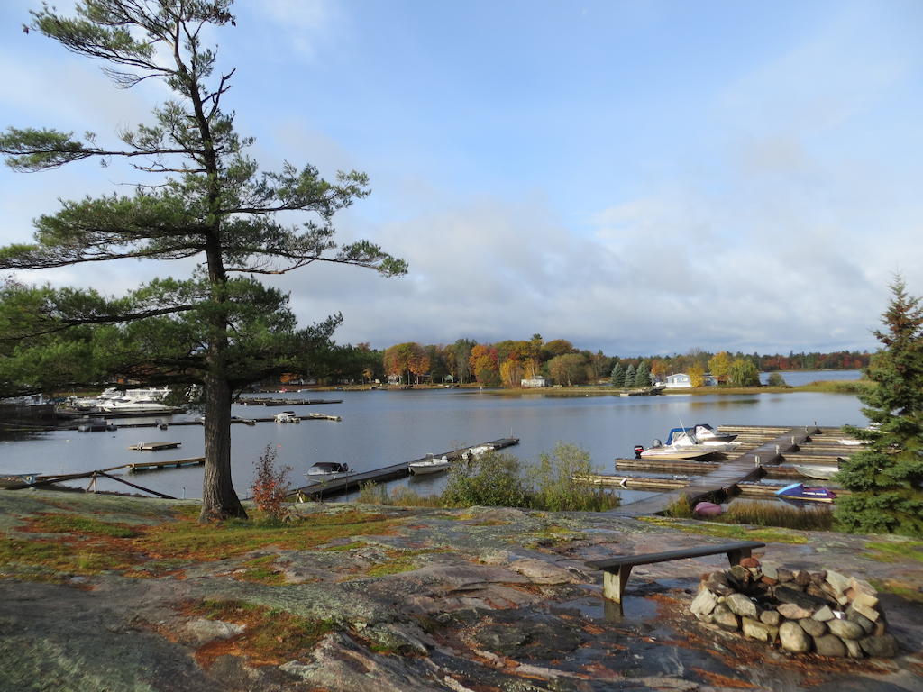 Halls Cottages Honey Harbor Exteriör bild