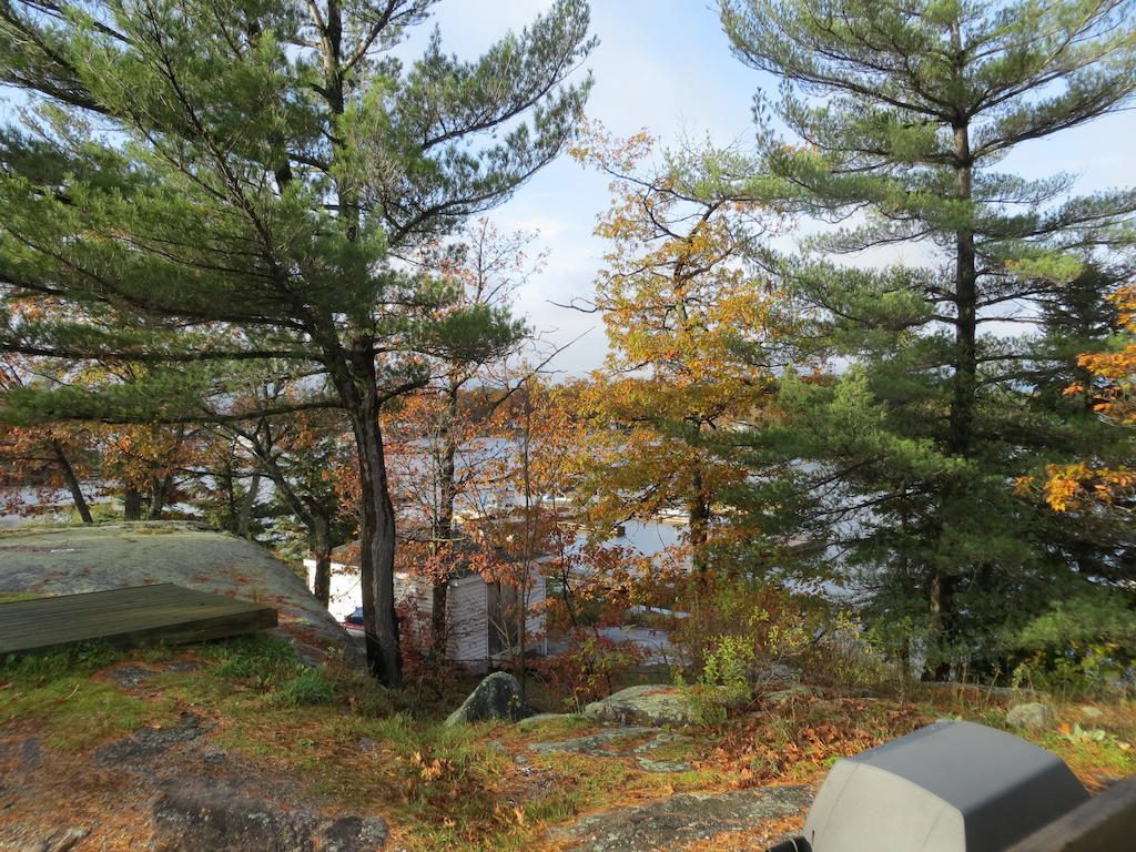 Halls Cottages Honey Harbor Exteriör bild